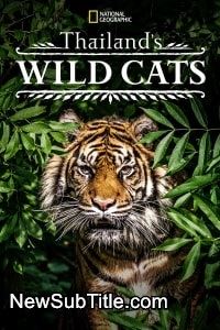 زیر‌نویس فارسی فیلم Thailand's Wild Cats