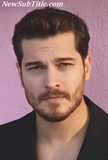 بیوگرافی Cagatay Ulusoy