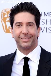 بیوگرافی David Schwimmer