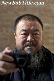 بیوگرافی Weiwei Ai