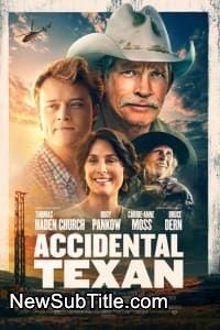 زیر‌نویس فارسی فیلم Accidental Texan