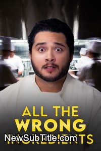 زیرنویس فارسی فیلم All the Wrong Ingredients