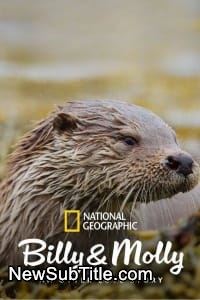 Billy  Molly: An Otter Love Story  - نیو ساب تایتل