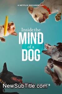 زیر‌نویس فارسی فیلم Inside the Mind of a Dog