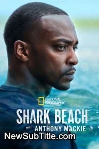 زیر‌نویس فارسی فیلم Shark Beach with Anthony Mackie