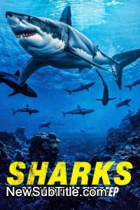 زیر‌نویس فارسی فیلم Sharks: Predators of the Deep