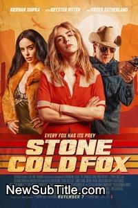 زیرنویس فارسی فیلم Stone Cold Fox