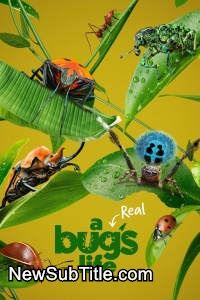 زیر‌نویس فارسی سریال A Real Bug's Life - Season 1