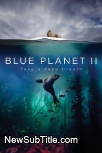 زیر‌نویس فارسی سریال Blue Planet II - Season 01