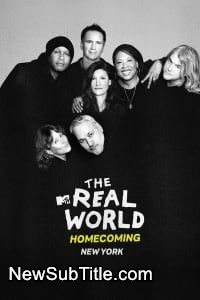 زیر‌نویس فارسی سریال The Real World Homecoming - Season 2