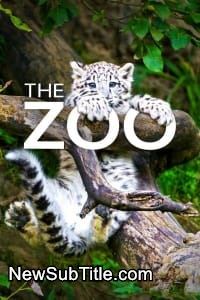 The Zoo - Season 5 - نیو ساب تایتل